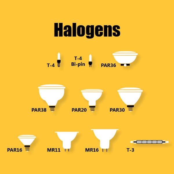 Halogen lamps infographic