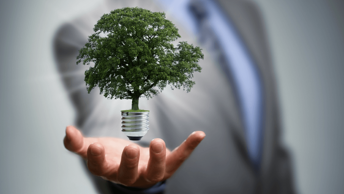 Our Sustainability Efforts