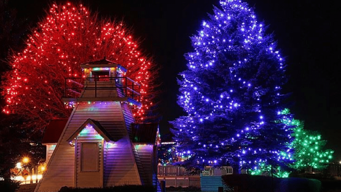 ÉCLAIRAGE DE NOËL À RIVERVIEW