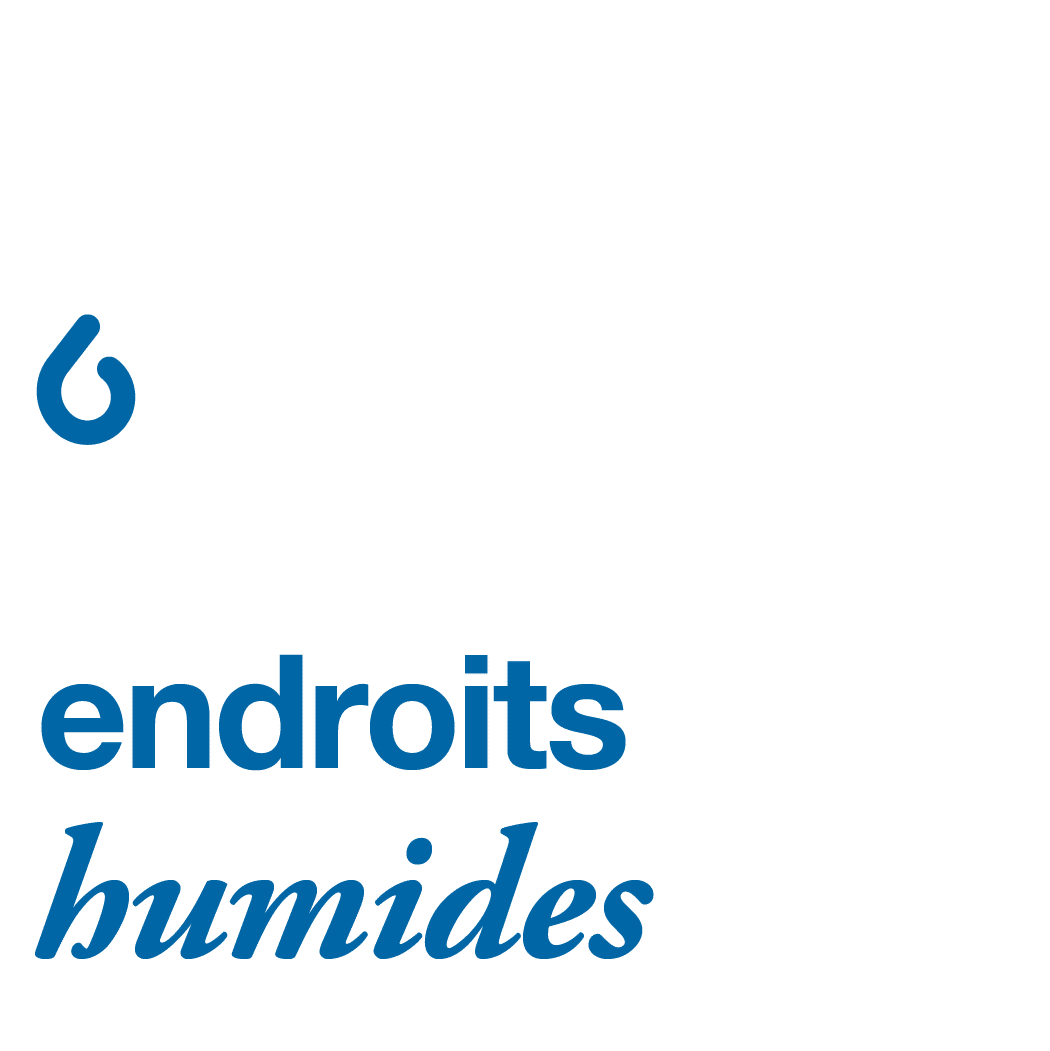 Endroits humides