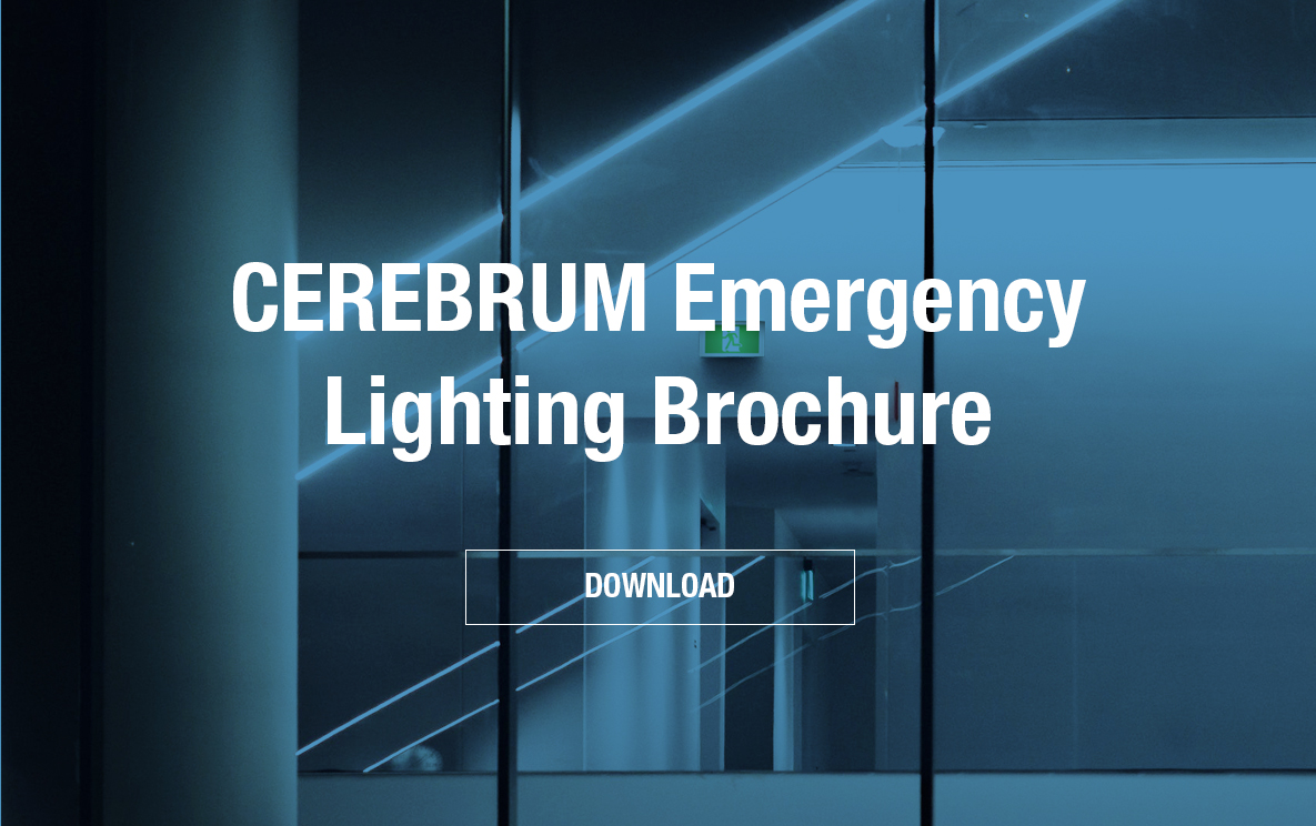cerebrum_banner_resources3_EN