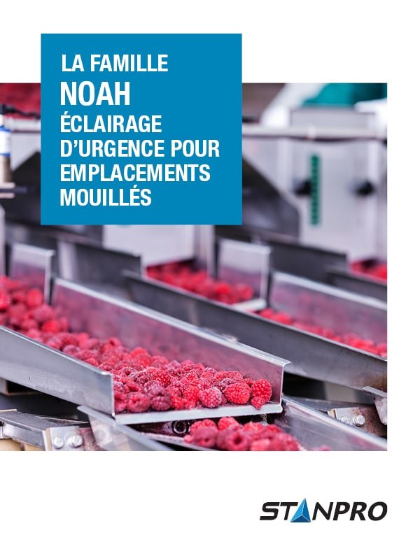 st_thumbnail_NOAH_FR