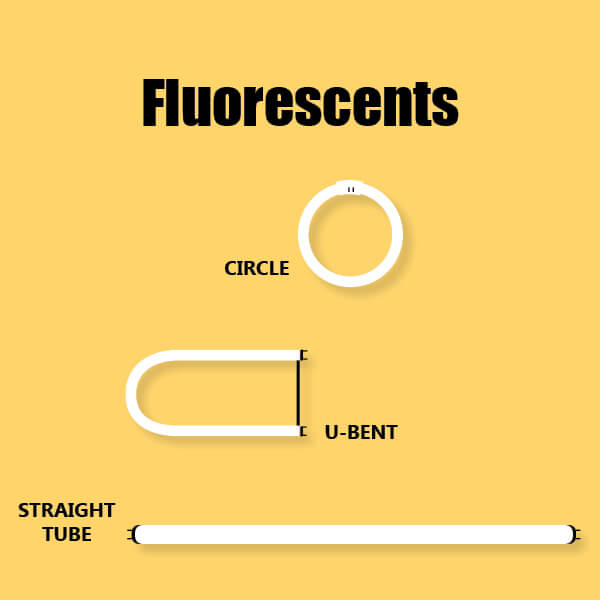 Fluorescent lamps shapes infographic