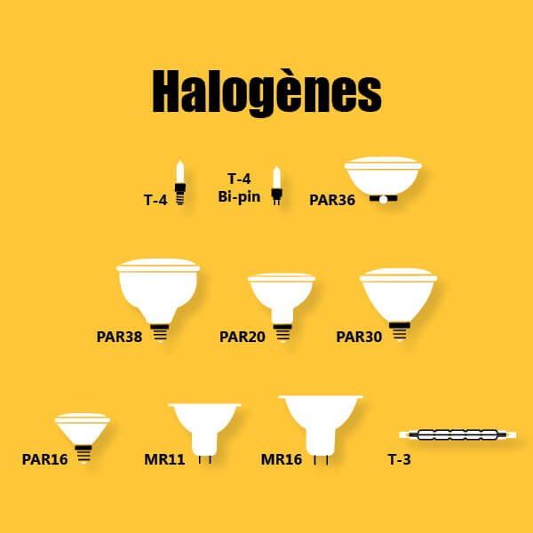 Infographie sur les halogènes